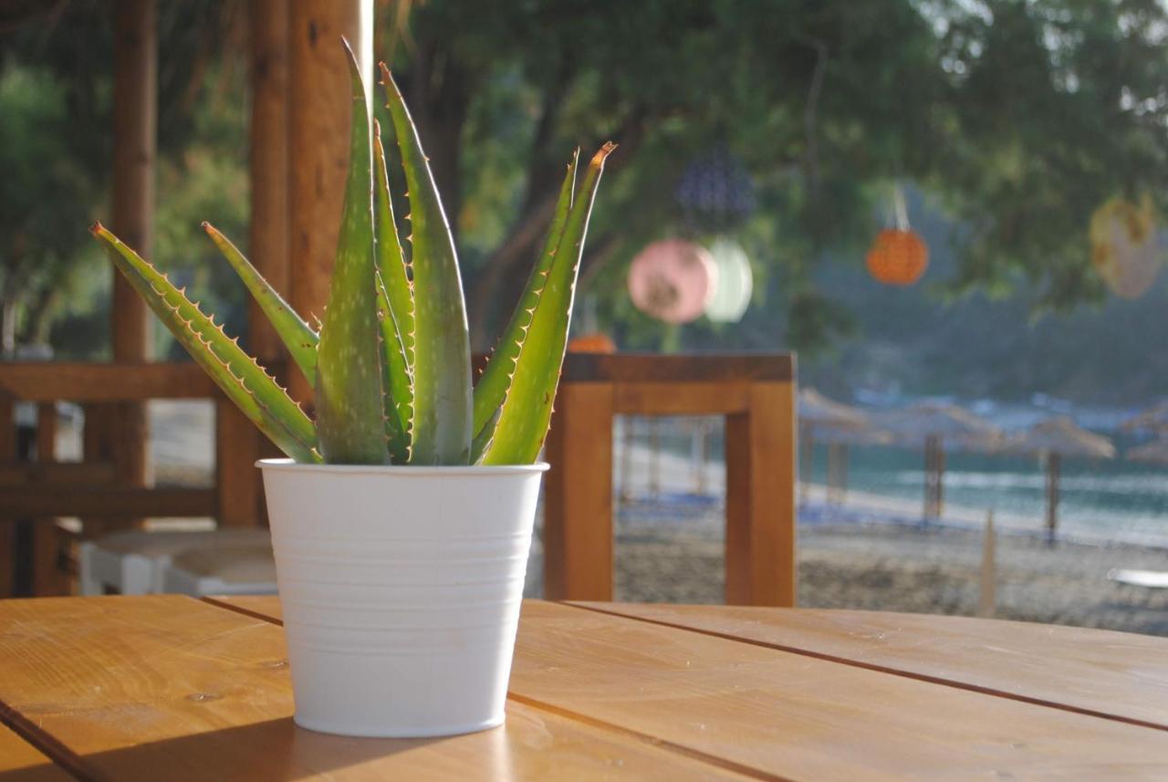 Puerto Seaside Rooms Αχλαδερή Εξωτερικό φωτογραφία
