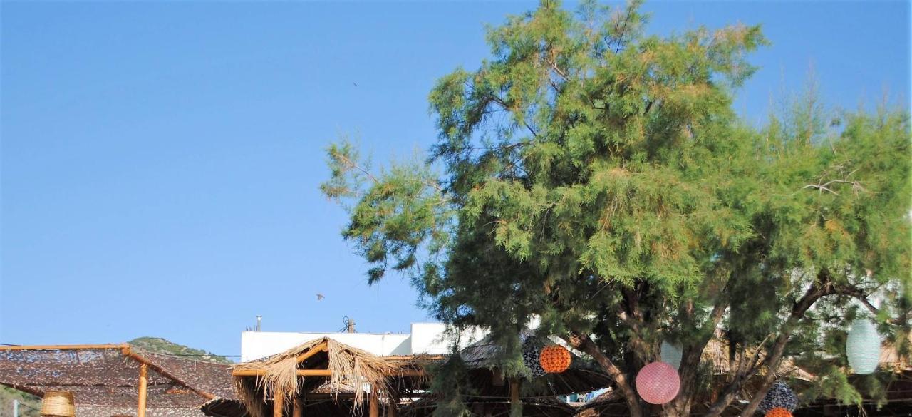 Puerto Seaside Rooms Αχλαδερή Εξωτερικό φωτογραφία